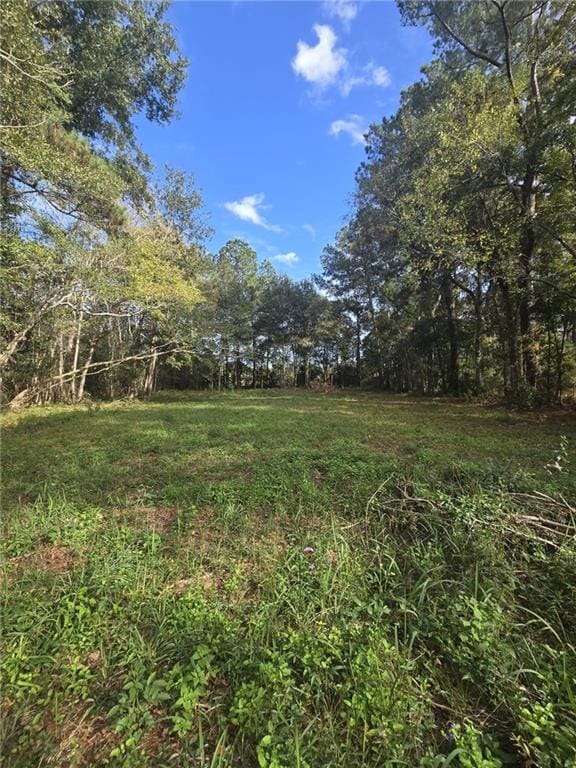 3511 Keeling Rd, Mobile, AL 36605 - view of yard