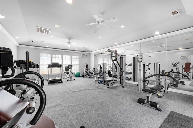 workout area with ceiling fan and crown molding