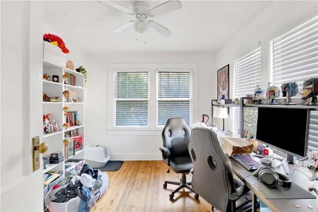 office space featuring ceiling fan and light wood-type flooring