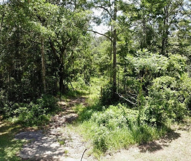 Listing photo 2 for 0 Pinehill Rd, Daphne AL 36526