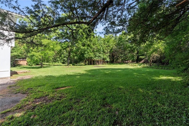 8520 Lebaron Ave W, Citronelle, AL 36522 - view of green lawn
