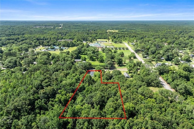 8520 Lebaron Ave W, Citronelle, AL 36522 - aerial view of property's location with a heavily wooded area and property boundaries highlighted