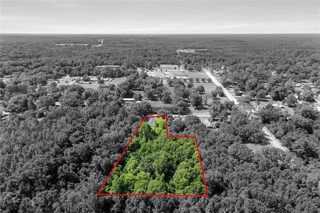 8520 Lebaron Ave W, Citronelle, AL 36522 - aerial view of property's location with a heavily wooded area and property parcel outlined