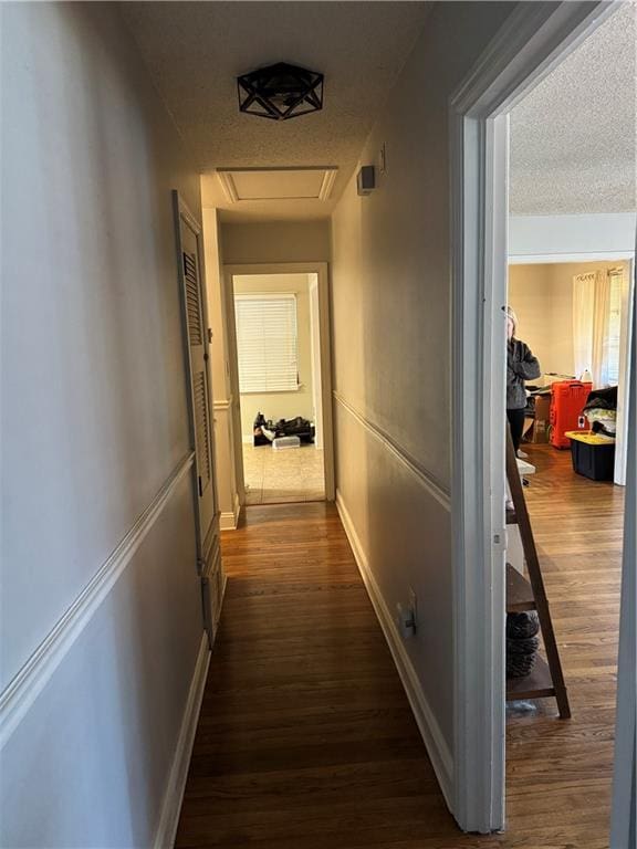 hallway featuring dark hardwood / wood-style flooring