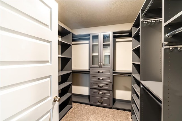 walk in closet with carpet flooring