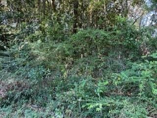 5710 Woodchase Cir W, Theodore AL, 36582 land for sale