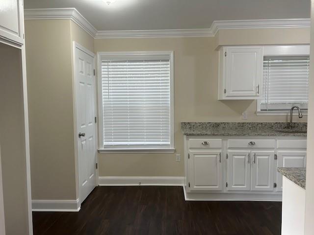 13580 Laco Cooper Rd, Wilmer, AL 36587 - kitchen featuring a sink, baseboards, white cabinetry, dark wood-type flooring, and ornamental molding