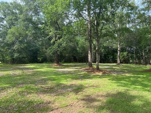 13580 Laco Cooper Rd, Wilmer, AL 36587 - view of green lawn with a wooded view