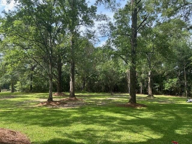 13580 Laco Cooper Rd, Wilmer, AL 36587 - view of grassy yard