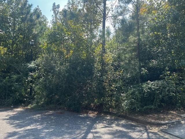 0 Oxbridge Way, Mobile AL, 36695 land for sale