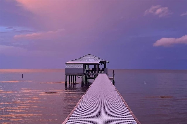 dock area with a water view