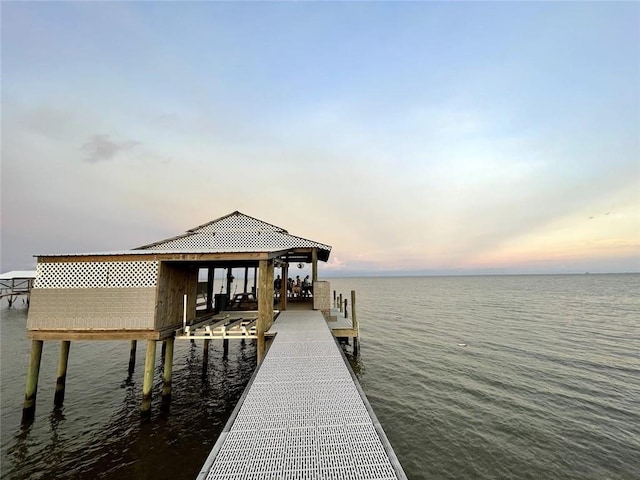 dock area with a water view