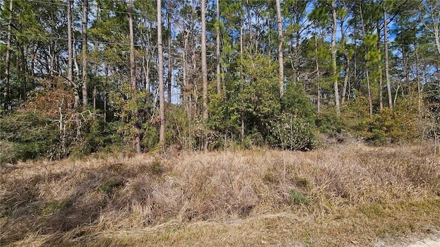 0 Washington Rd, Coden AL, 36523 land for sale