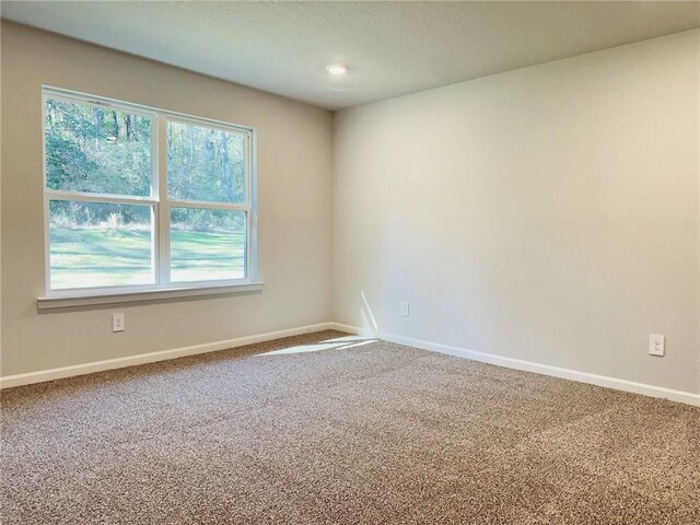 spacious closet featuring carpet flooring