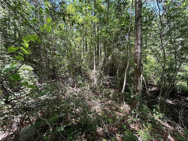 0 Bayou Pines Dr, Coden AL, 36523 land for sale