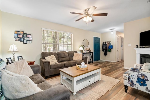 living room with ceiling fan and light wood-type flooring