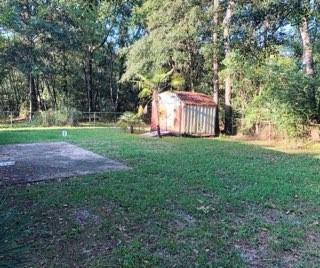 view of yard with a storage unit and a patio