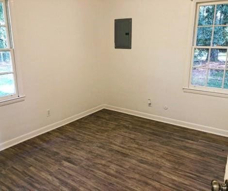 empty room featuring electric panel and dark hardwood / wood-style flooring