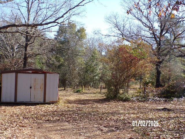 view of yard with a storage unit