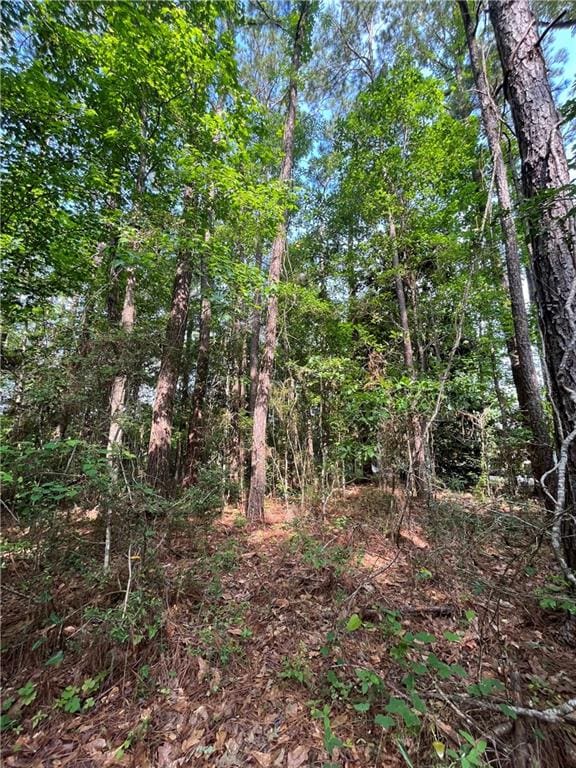 0 Riverview Nursery Rd, Theodore AL, 36582 land for sale