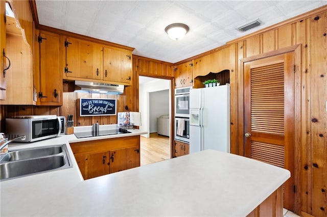 kitchen with sink, kitchen peninsula, light hardwood / wood-style flooring, and stainless steel appliances