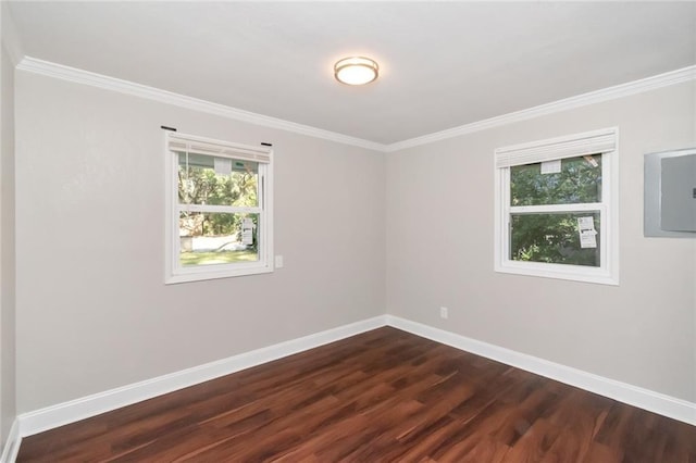 unfurnished room featuring electric panel, crown molding, and dark wood-type flooring