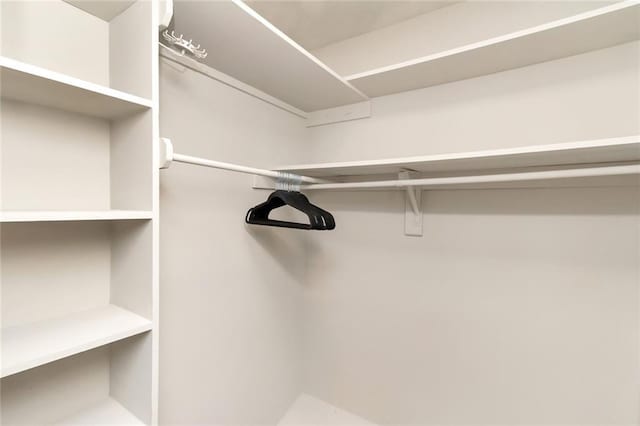 3132 Wellborne Dr W, Mobile, AL 36695 - view of spacious closet