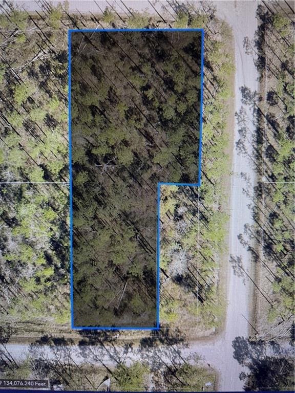 0 Oregon Ave, Coden AL, 36523 land for sale