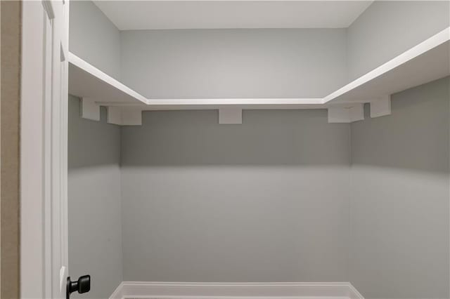 view of walk in closet