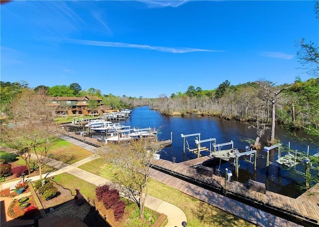 dock area with a water view