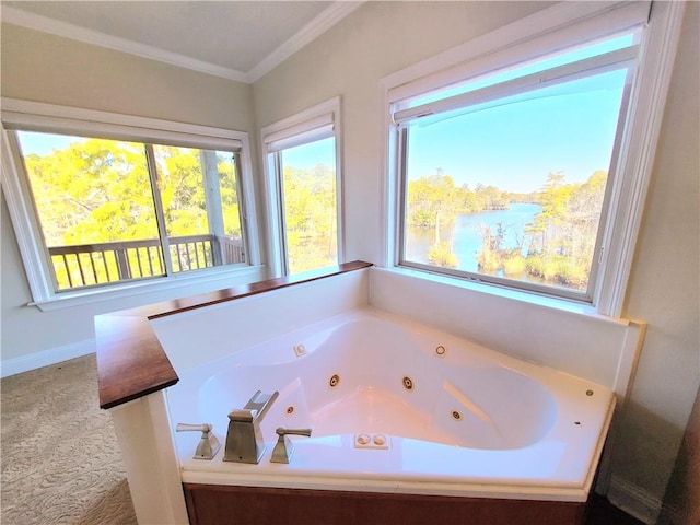 bathroom featuring a bathtub, a healthy amount of sunlight, and ornamental molding