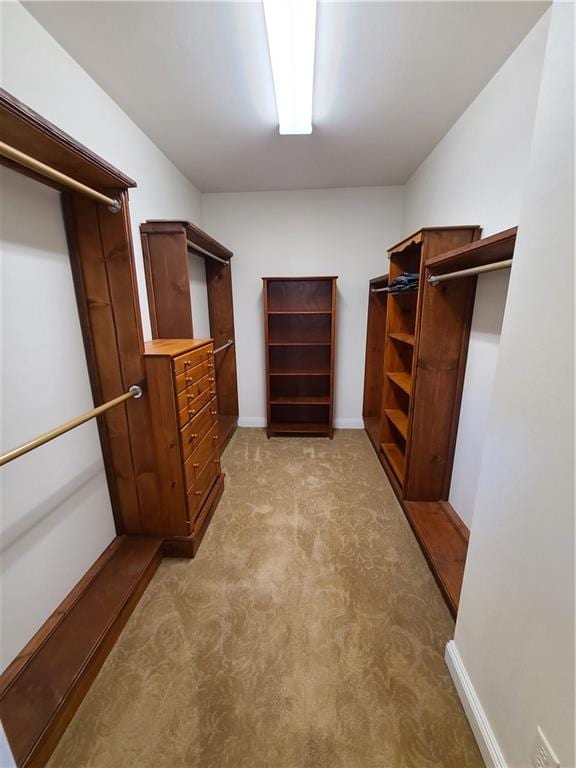 walk in closet with light carpet