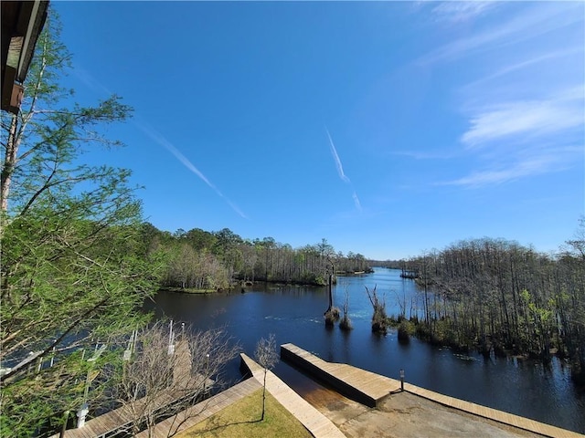 view of dock with a water view