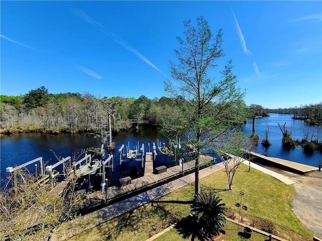 dock area with a water view