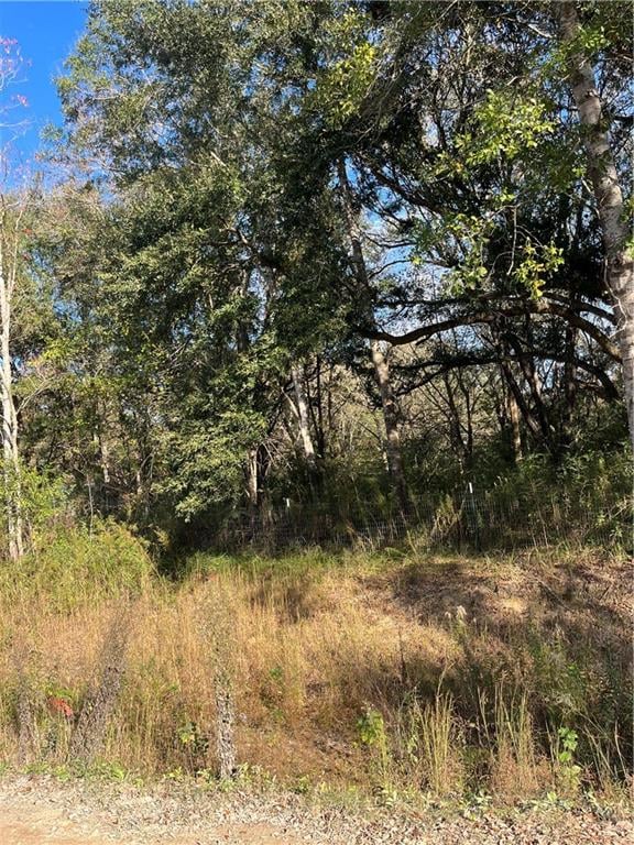 Listing photo 2 for 0 Grand Farms Rd E, Grand Bay AL 36541