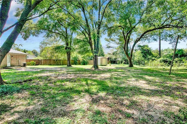 view of yard featuring a storage shed