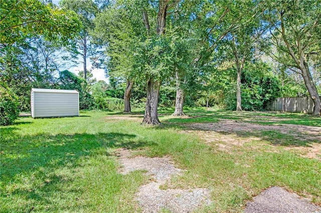 view of yard with a storage shed