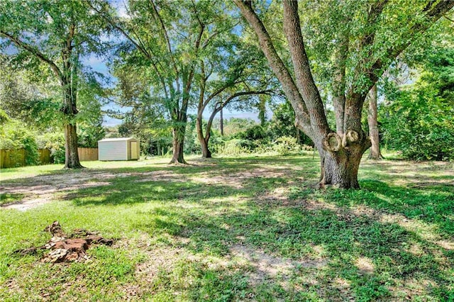 view of yard with a storage unit