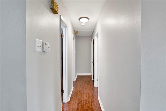 hall with hardwood / wood-style flooring