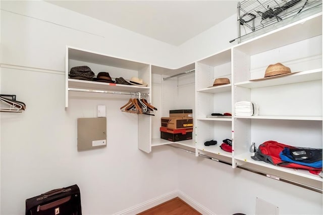 view of walk in closet