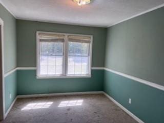 spare room featuring baseboards, carpet, and a healthy amount of sunlight