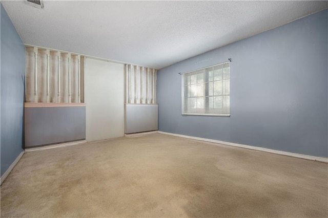 spare room with carpet and a textured ceiling