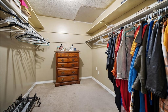 walk in closet with carpet floors