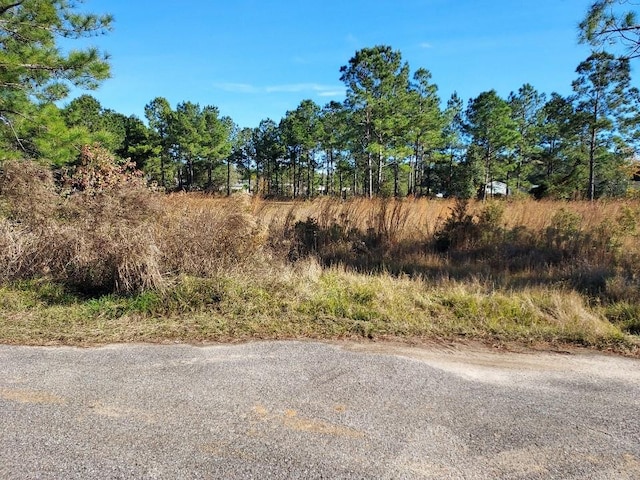 6912 March Woods Ct, Theodore AL, 36582 land for sale