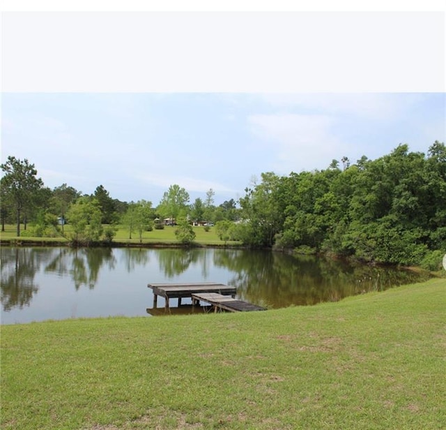 dock area with a water view and a yard