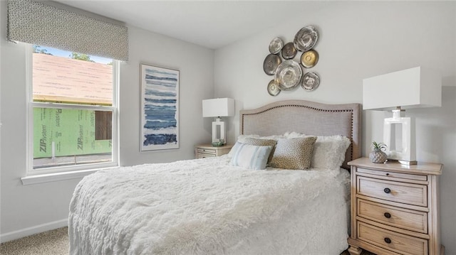 10688 Relic Rd N, Mobile, AL 36608 - bedroom with carpet and baseboards