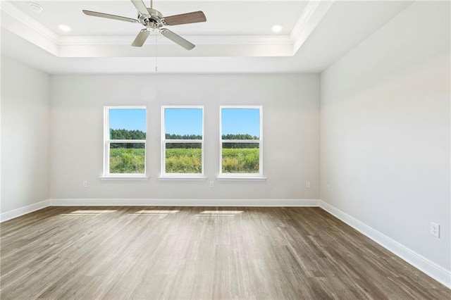 unfurnished room with a wealth of natural light, a tray ceiling, and baseboards