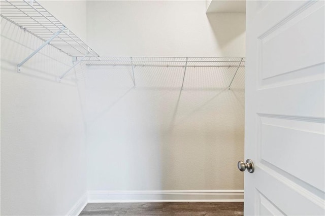 spacious closet with hardwood / wood-style floors