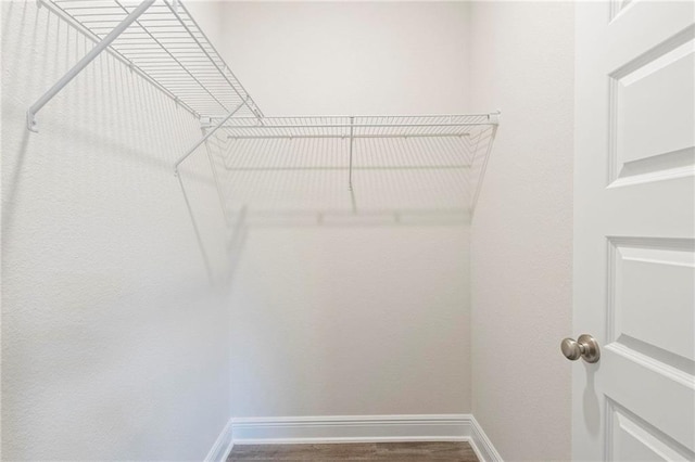 spacious closet with wood-type flooring