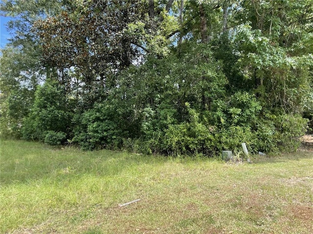 0 Rabbit Creek Dr, Theodore, AL 36582